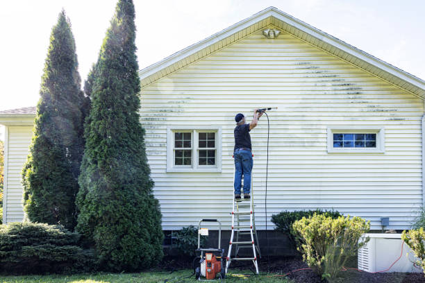 Best Fence Pressure Washing  in Eagle Lake, WI